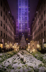 Snow on the Christmas Tree, New York. Rockefeller Center, New York.