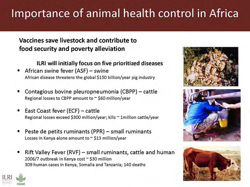 Importance of animal health in Africa