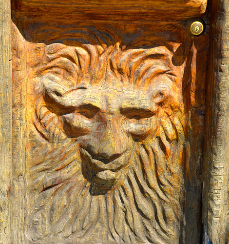 Lion Door