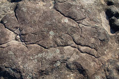 Hat Hill Petroglyphs
