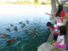Irvine Lake 8-11-2013