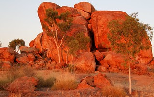 Devils Marbles in the morning light #1(Explore)