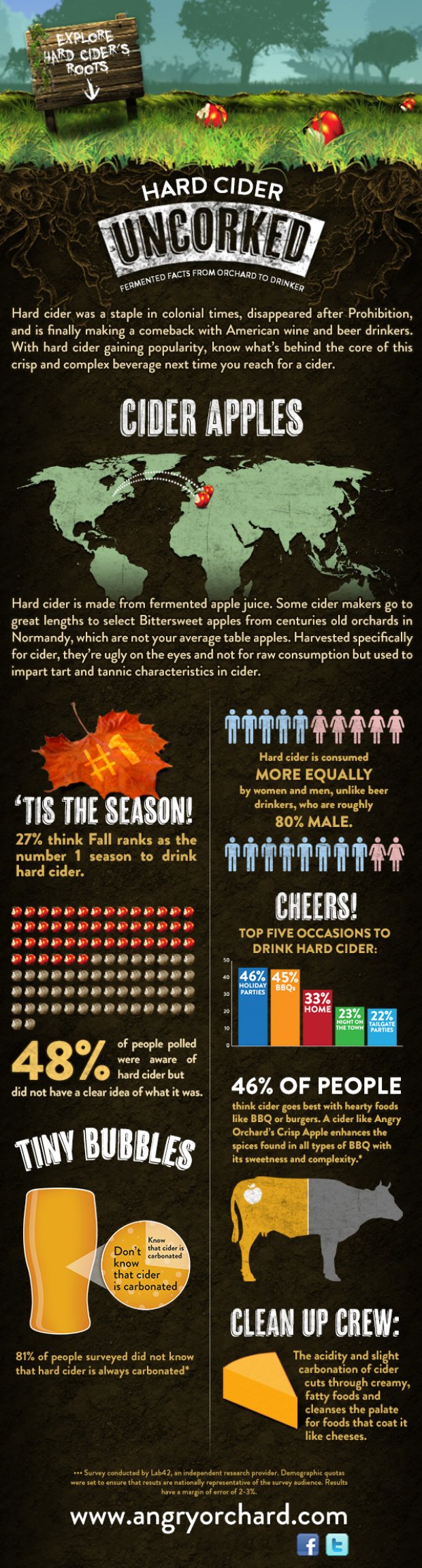 Cider_infographic