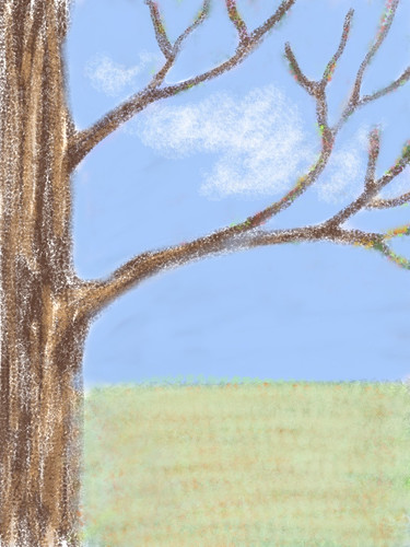 Tree Branches All Year (Digital Sketch) by randubnick
