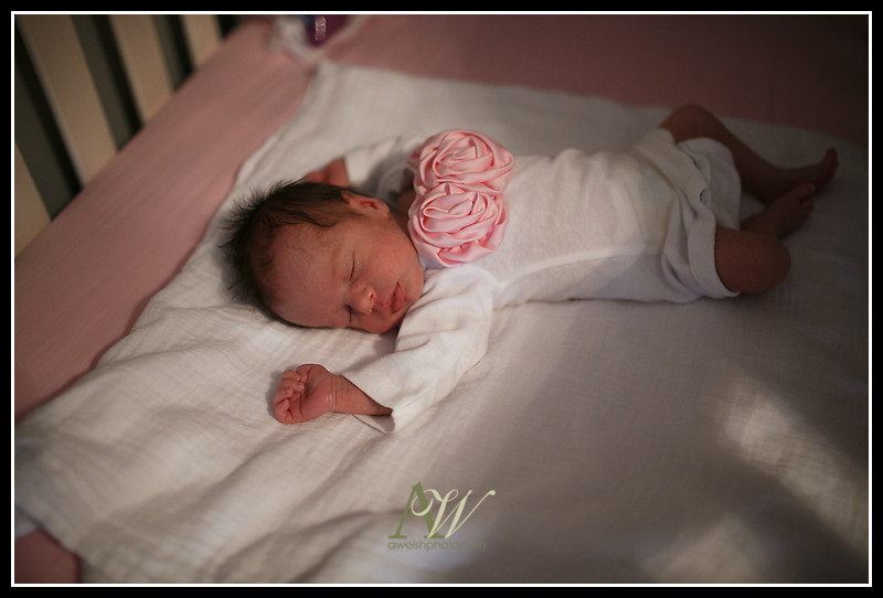 Rochester NY Newborn Family Portrait Photographer Andrew Welsh