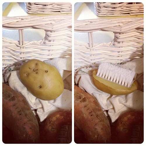 It's a potato, no it's a brush, no it's a potato brush!! #easilyamused