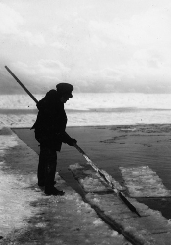 Ice Harvesting 1910