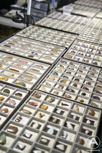 Fossil, Gem & Mineral Show