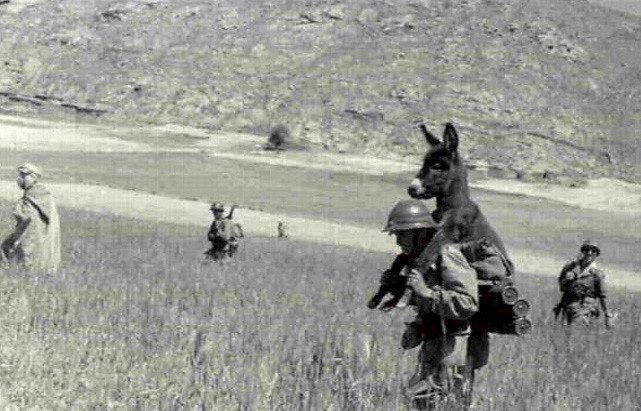 Donkey Riding on WWII Soldier