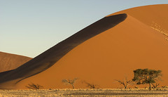 Namibia - South Africa 2013