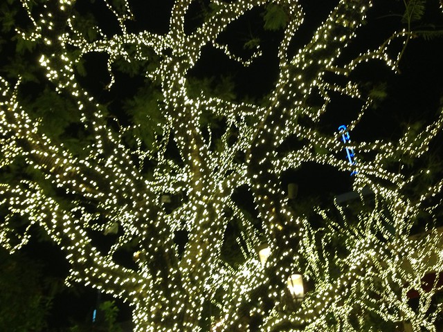 lights at the Grove