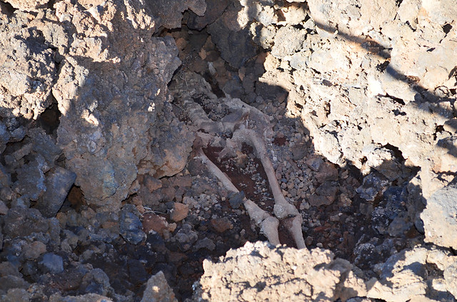 Skeleton, Maipés Parque Arqueológico, Ancient Canarian Tombs, Agaete Valley, Gran Canaria