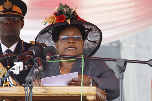 Vice-President Joice Mujuru of the Republic of Zimbabwe. He spoke of the necessity of documenting African history. by Pan-African News Wire File Photos