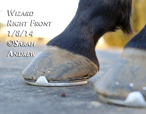 Wizard's feet: 2014