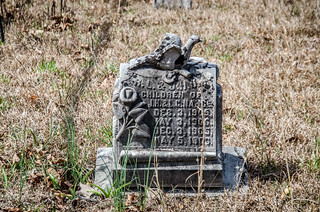 Liberty Springs Presbyterian Church and Cemetery-004