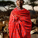 IMG_0591 Samburu lady and gaots Kenya