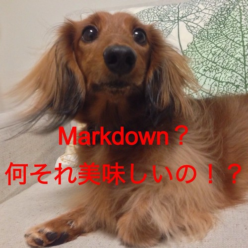 フォルテ_Markdown