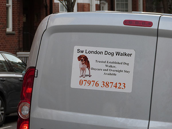 london dog walker