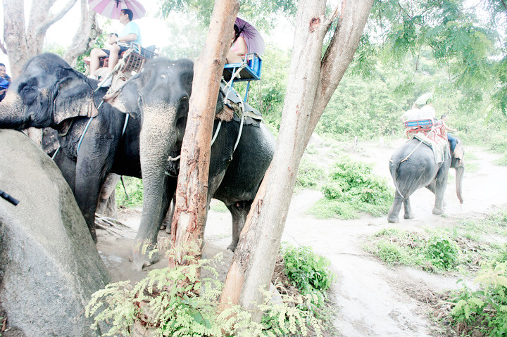 phuket elephant riding typicalben 10
