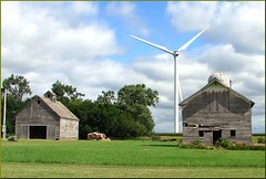 Wind Turbines, Midwest
