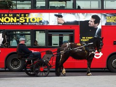 Horse & Cart - Trafalgar Square