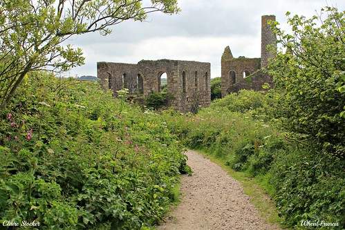 Wheal Francis by Stocker Images