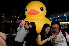 The "Rubber Duck" in Hong Kong
