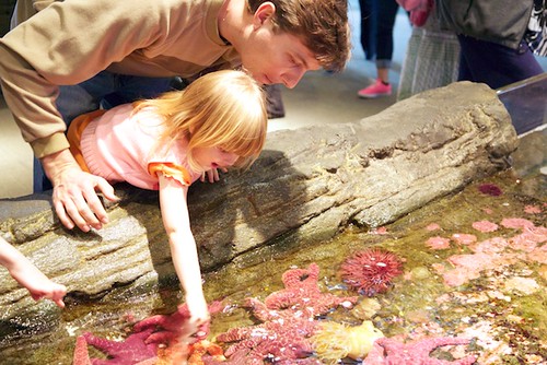 Baby Touching Sea Anemone