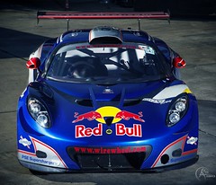Red Bull Exige GT3