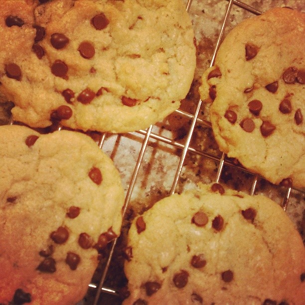 Vegan chocolate chip cookie perfection... Chewy and delicious, from the book Vive le Vegan! #vegan #allergyfreebaking
