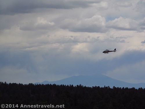 A sightseeing helicopter flies toward the Grand Canyon from the Grandview Lookout Tower, Kaibab National Forest, Grand Canyon National Park, Arizona