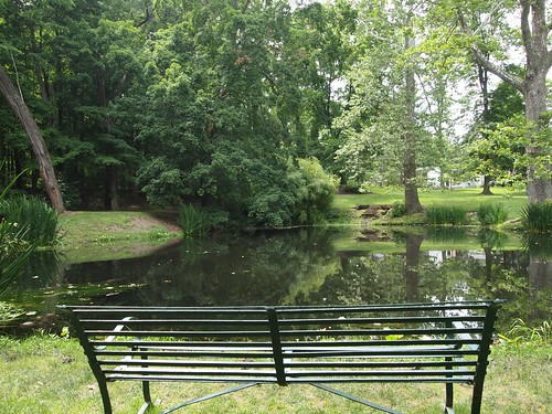 Schoepfle Garden - Birmingham, Ohio - Pond bench
