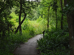 Askham Bog Nature Reserve