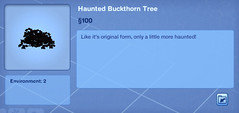 Haunted Buckhorn Tree