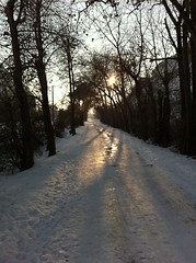 January 9, 2013 (Provo River Trail)