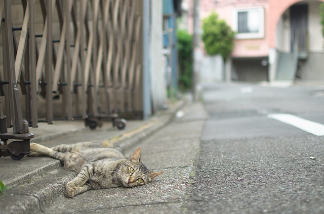 東京路地裏散歩 2013年7月14日
