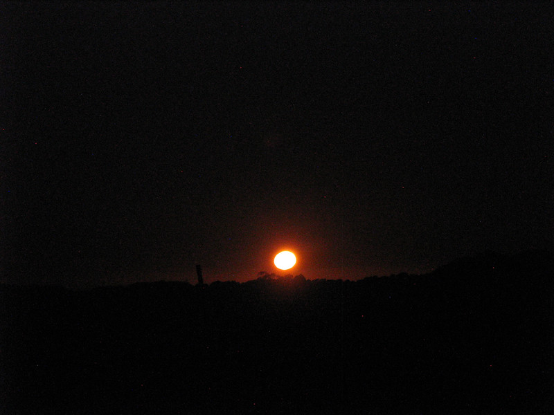 Moonrise, Dorrigo, NSW