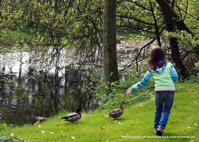 Ducks at St. Fiachra's Garden, Irish National Stud, Kildare