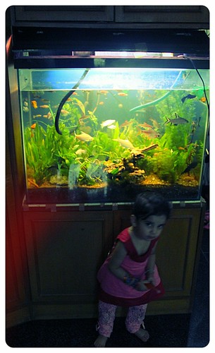 Marziyas Fish Tank... Nerjis Gives A Pose by firoze shakir photographerno1
