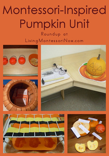 Montessori-Inspired Pumpkin Unit