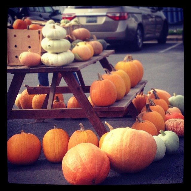 The happiest table at the farmer's market. #yayfall