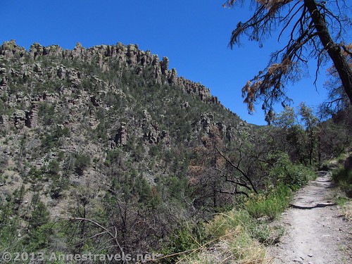 The Sarah Deming Trail - looking back up Sarah Deming Canyon, Chiricahua National Monument, Arizona