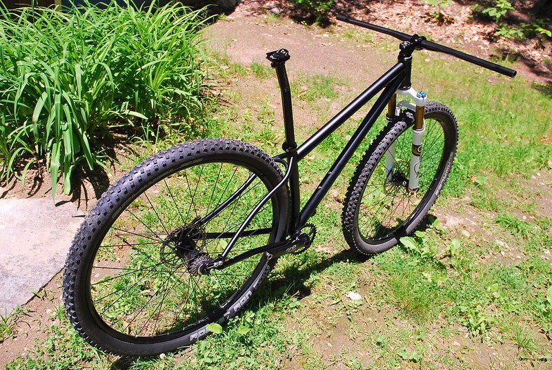 Paul's 29er : Ready to RIP