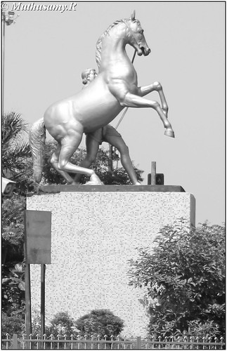 Two Horse (Equestrian) statues at Gemini Chennai by Muthusamy Photostream