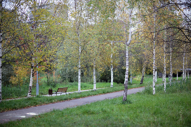 Benches_in_the_autumn_2013(4)