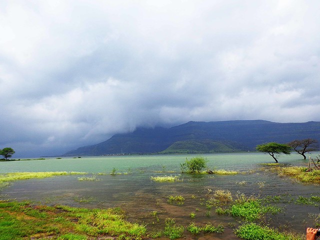 Pimpalgaon dam - Malshej ghat near pune