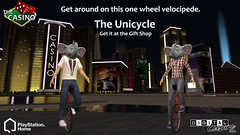 DL_Unicycle