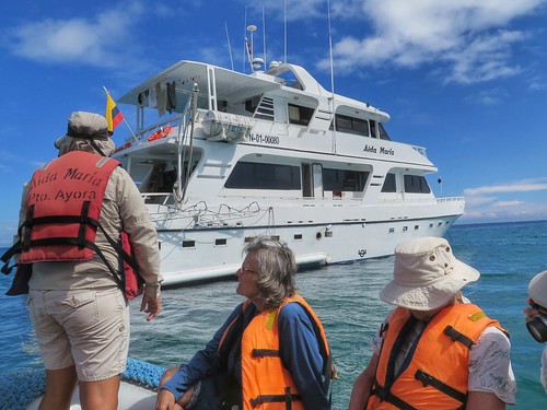 A Last Minute Galapagos Cruise