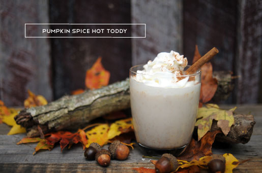 Pumpkin Spice Hot Toddy - KaelahBee.com
