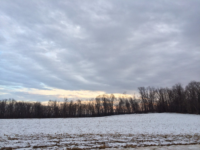 2013.12.21 - winter fields II